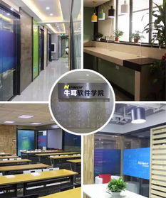 牛耳学院软件工厂 专业软件外包服务简介