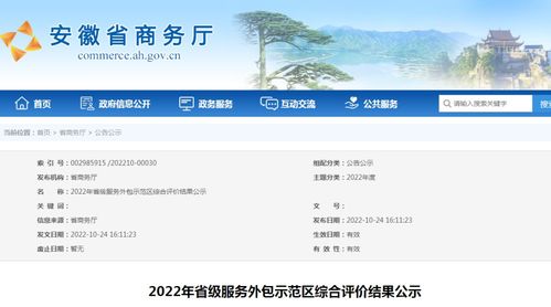 安徽公示2022年省级服务外包示范区综合评价结果 软件开发领域表现突出